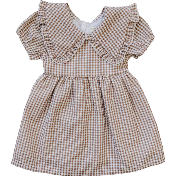Gingham Peter Pan Collar Dress – Posh Little Dreams